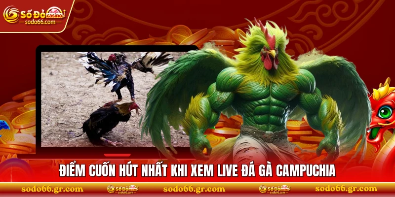 Điểm cuốn hút nhất khi xem live đá gà Campuchia