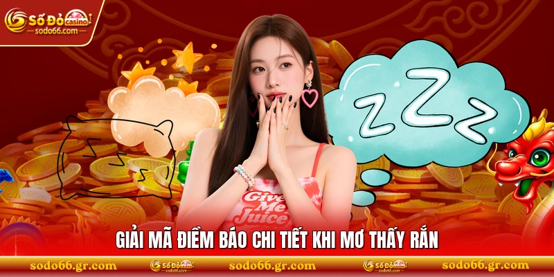 Giải mã điềm báo chi tiết khi mơ thấy rắn